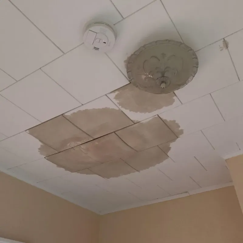 Ceiling Water Damage Repair in Endicott, NY