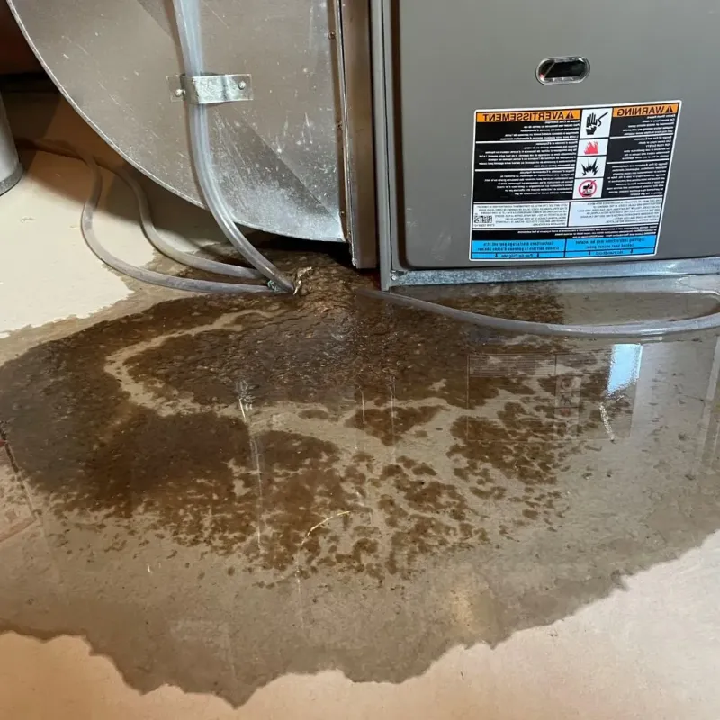 Pipe Burst and Leak Restoration in Endicott, NY